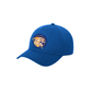 Delaware Township Wildcats Twill Cap