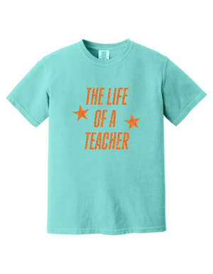 The Life of a Teacher