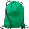 Liberty Value Drawstring Backpack - Kelly Green